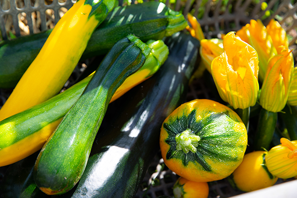 野菜へのこだわり